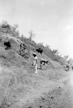 Madagascar - Diego-Suarez 1939